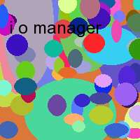 i o manager